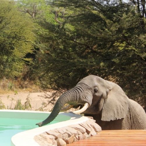 Laba Laba | Selous Safari Company | Safaris & Beach Holidays in Tanzania