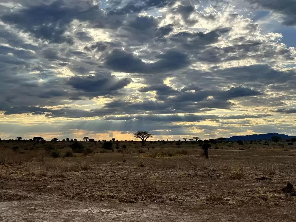 Laba Laba - Parc National de Ruaha